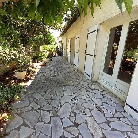 Olivos Bize-Minervois